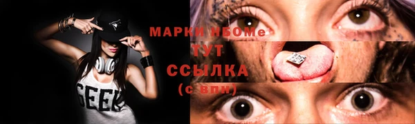 хмурый Бородино