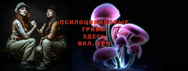 мяу мяу мука Снежногорск